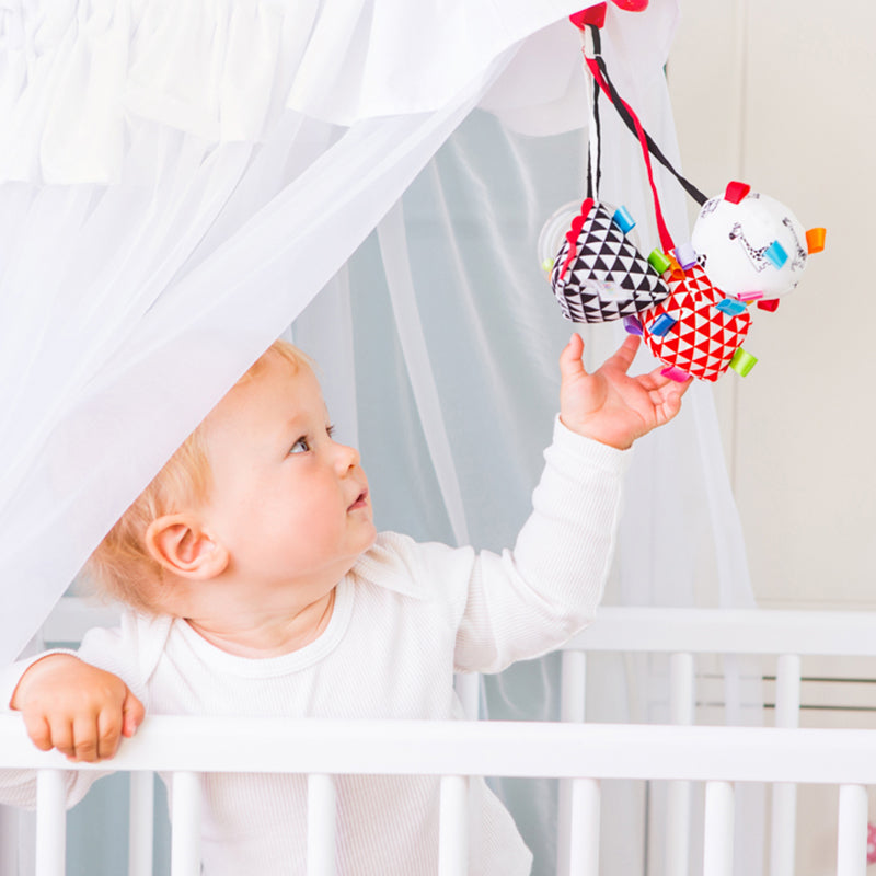 Bali Bazoo Triangle Hanging Toy