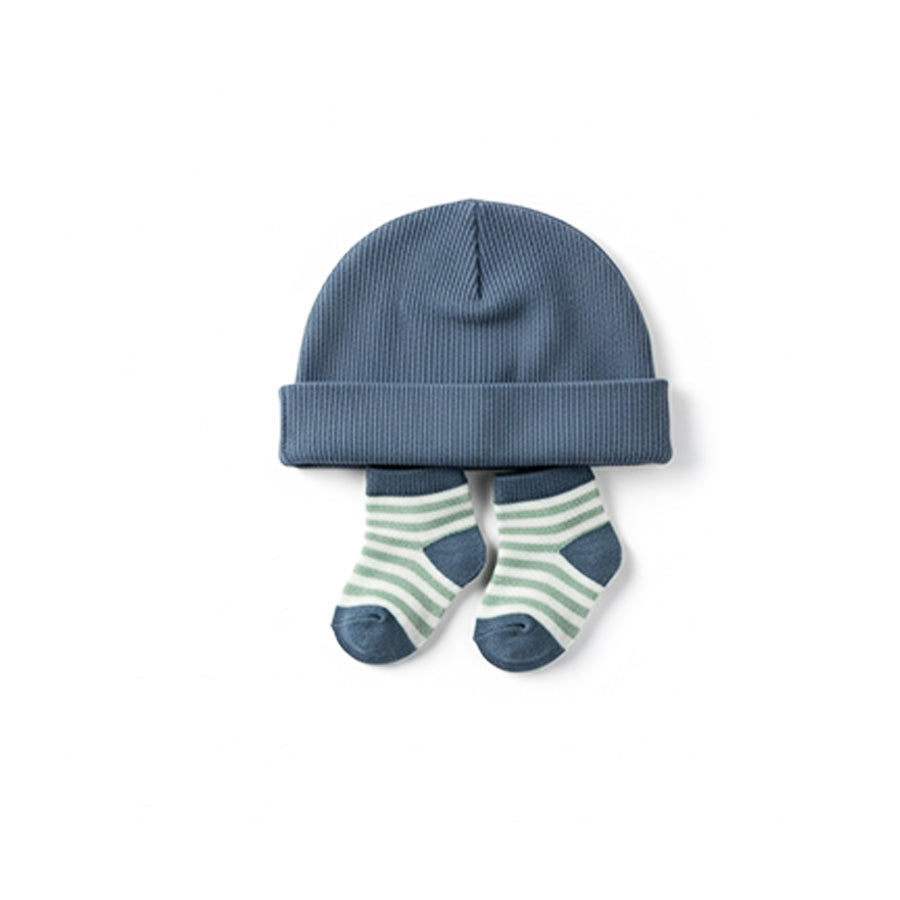 Dino 4 Piece Set Blue