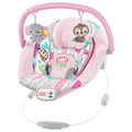 Bright Starts Cradling Bouncer - Rosy Vines