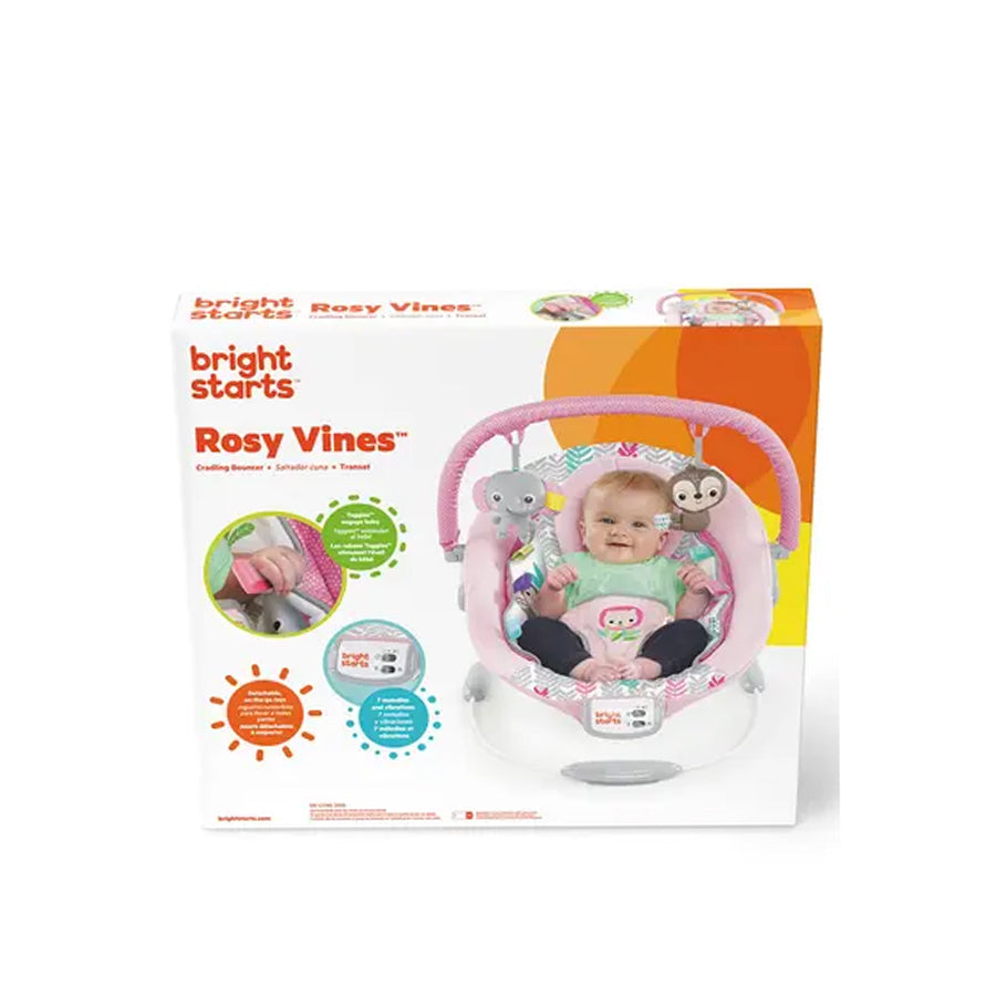 Bright Starts Cradling Bouncer - Rosy Vines
