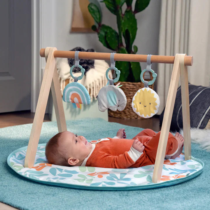 ING Sun Valley Wooden Toy Arch & Play Mat