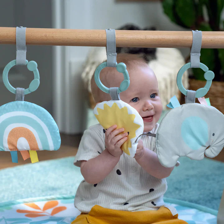 ING Sun Valley Wooden Toy Arch & Play Mat