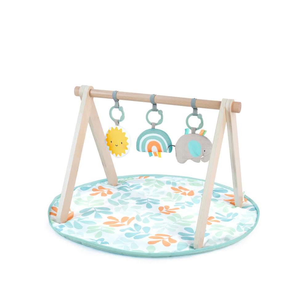 ING Sun Valley Wooden Toy Arch & Play Mat