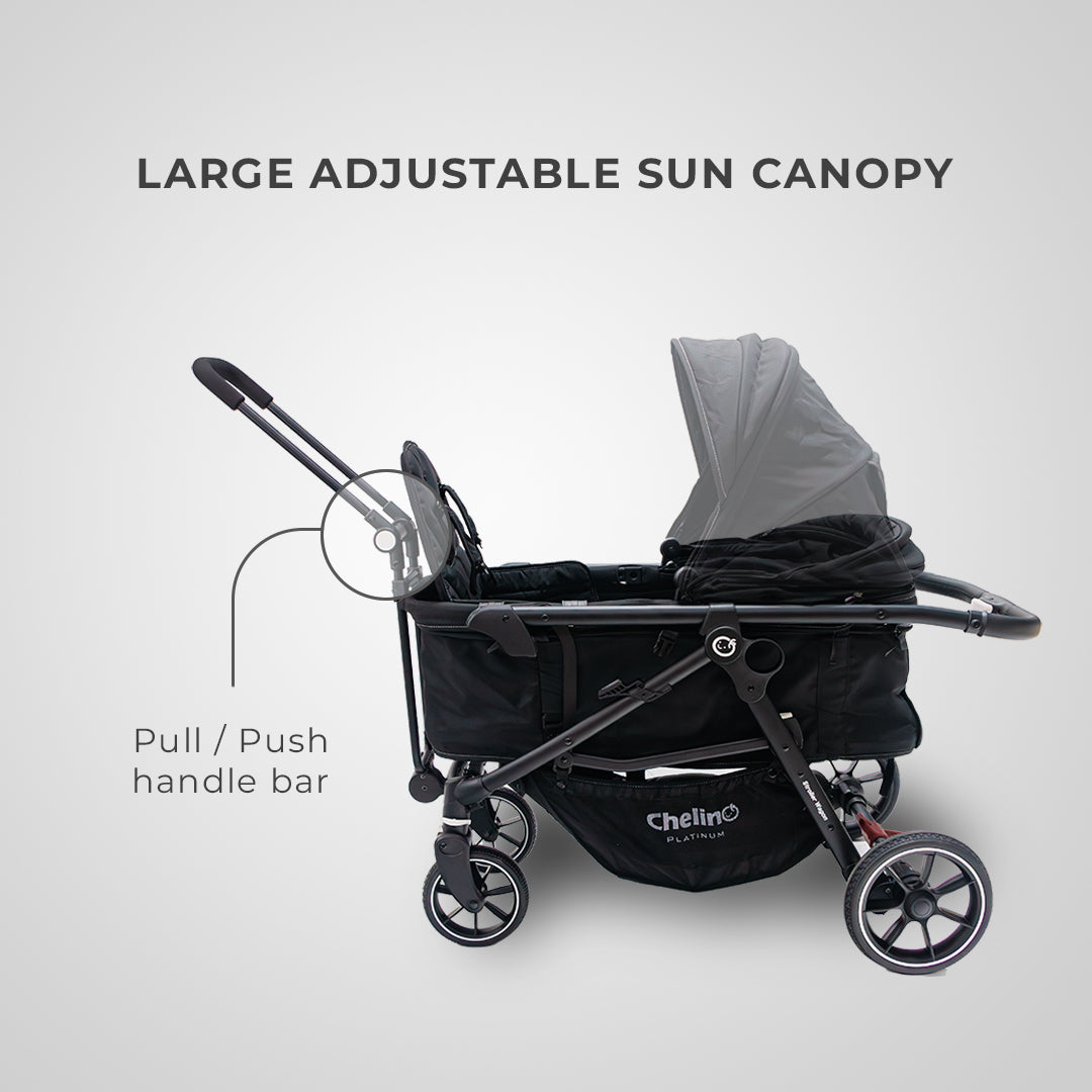 Switch 2 IN 1 Wagon Travel System